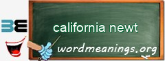 WordMeaning blackboard for california newt